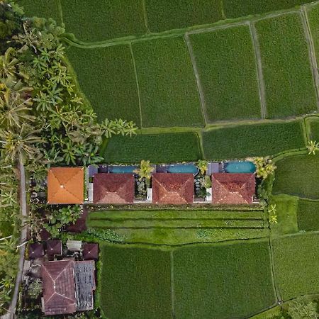Airsania Ubud Antique Villas Exteriér fotografie