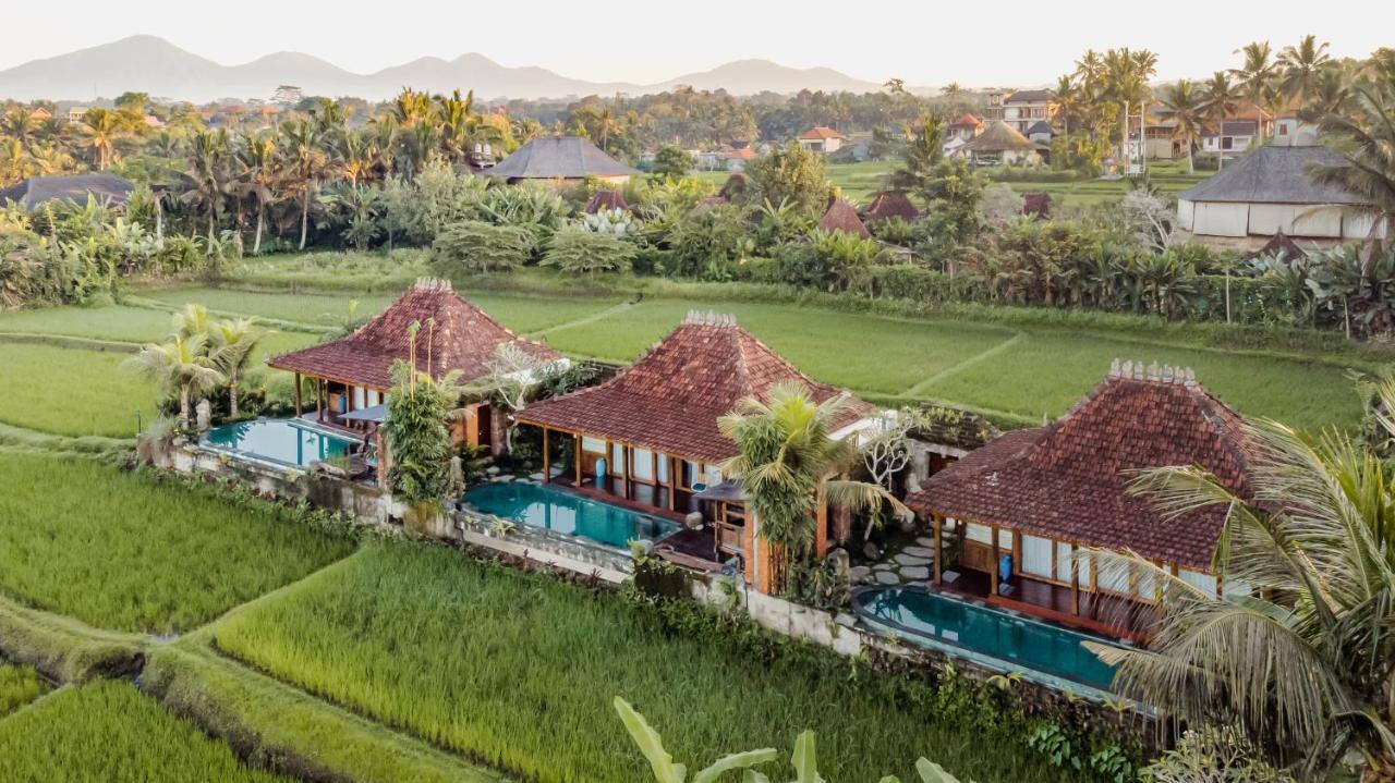 Airsania Ubud Antique Villas Exteriér fotografie