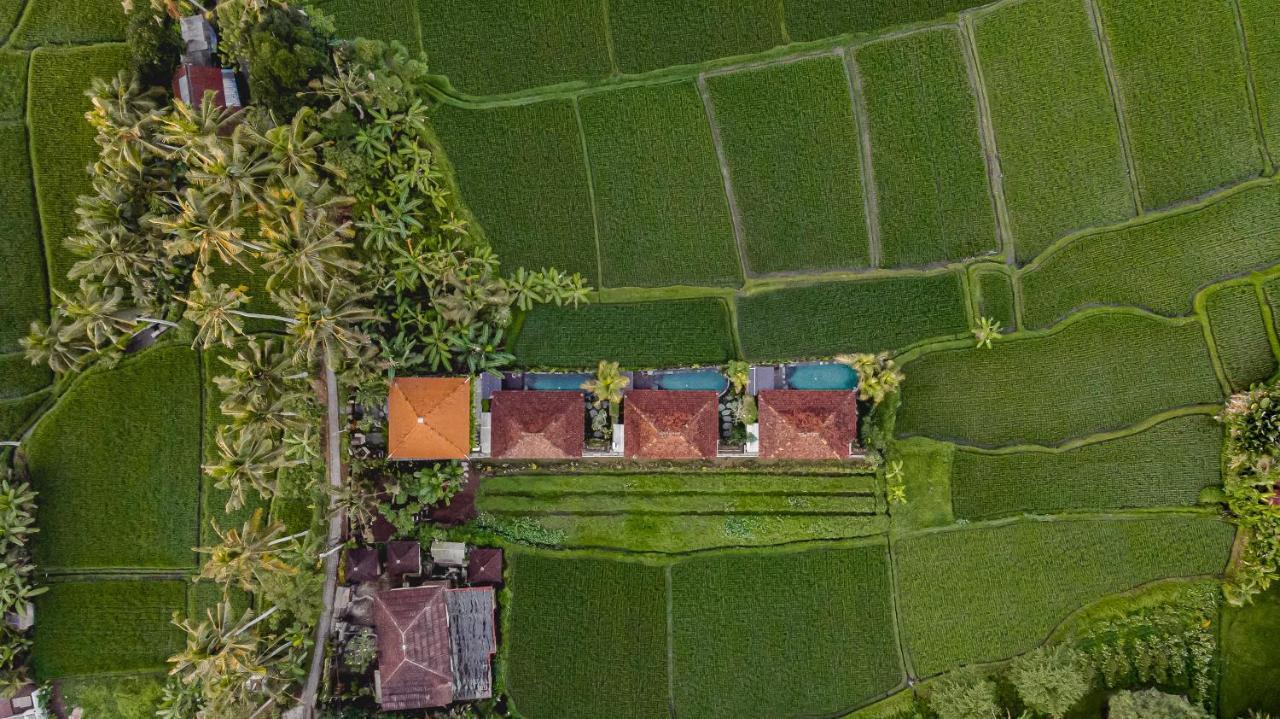 Airsania Ubud Antique Villas Exteriér fotografie