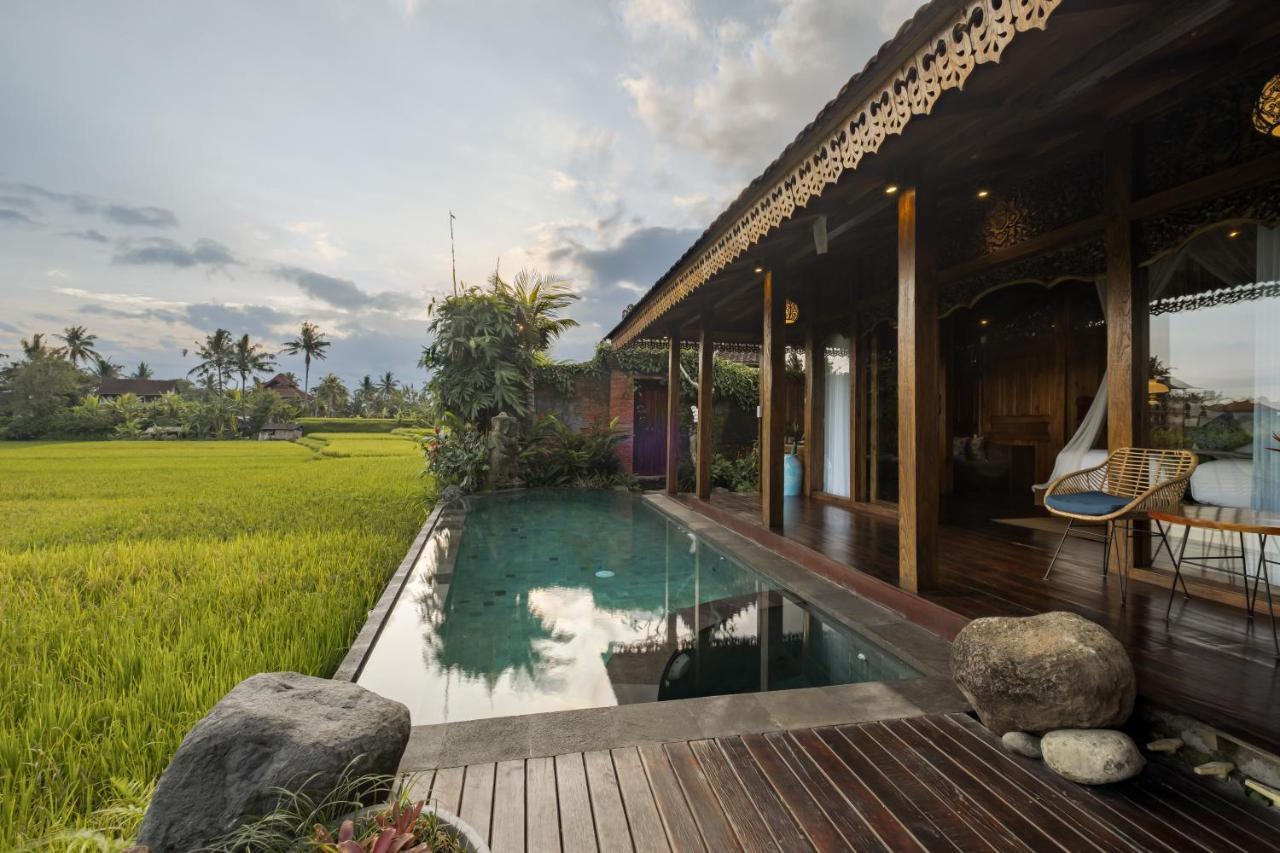 Airsania Ubud Antique Villas Exteriér fotografie