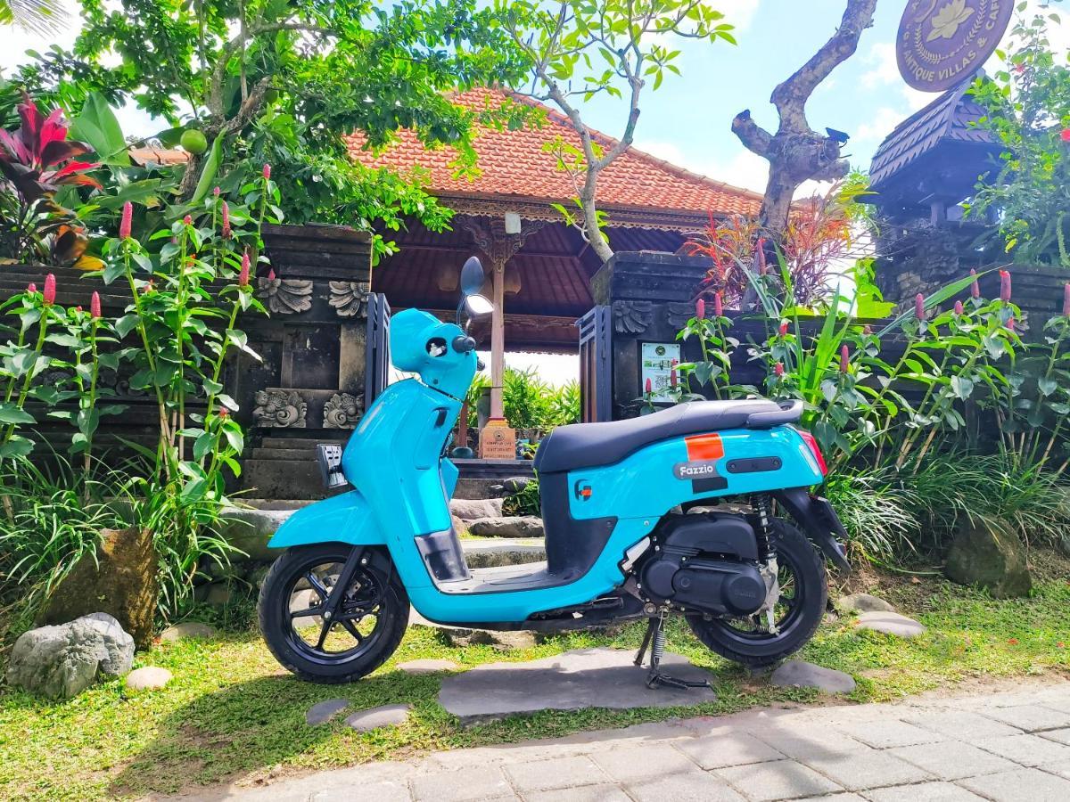 Airsania Ubud Antique Villas Exteriér fotografie